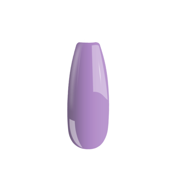 B100