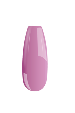 B101