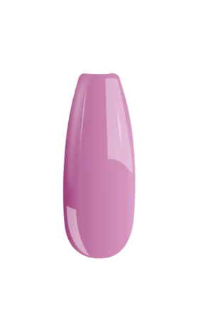 B101