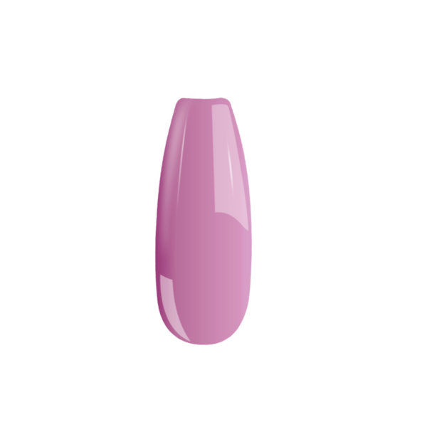 B101