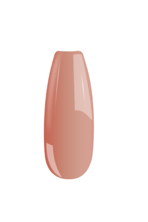B113