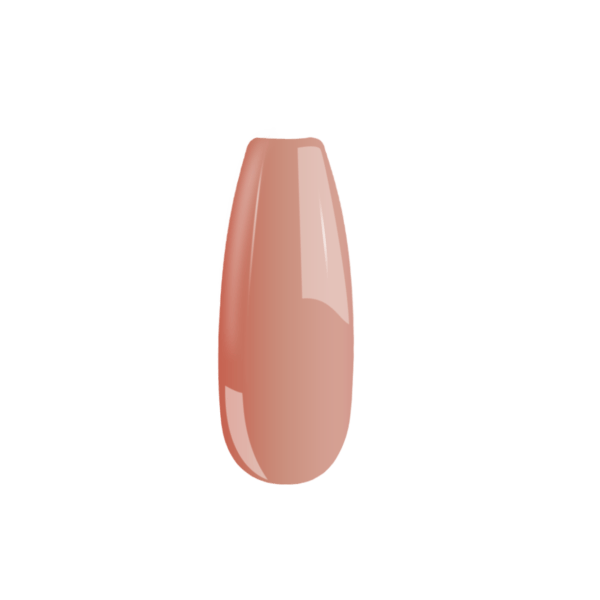 B113