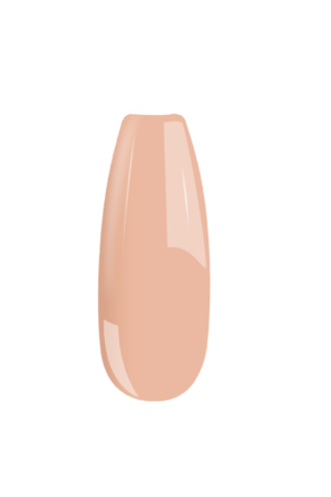 B119