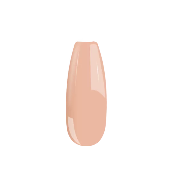 B119