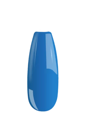 B031