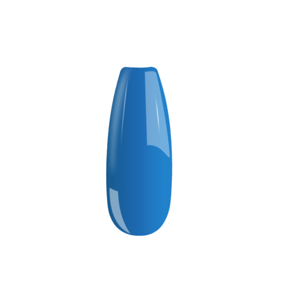 B031
