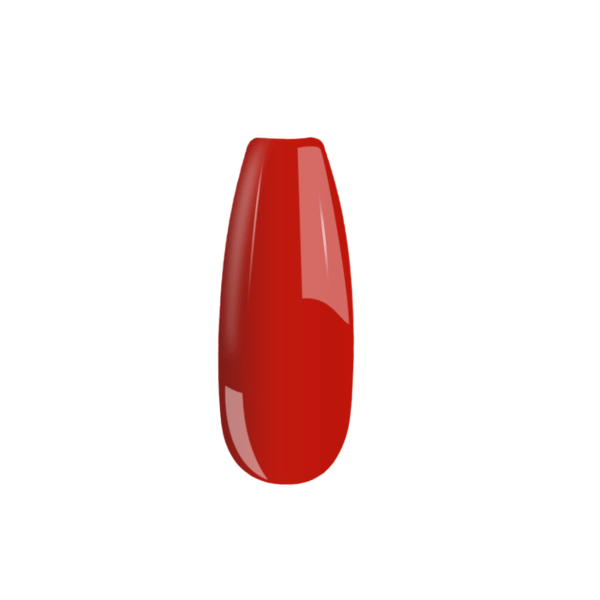 B005