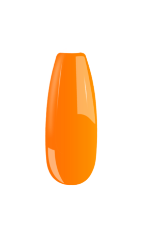 B051