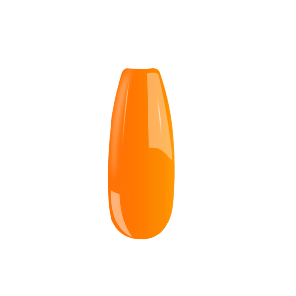 B051