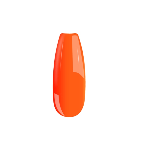 B055