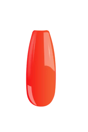 B058