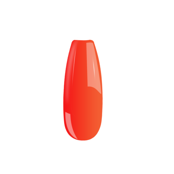 B058
