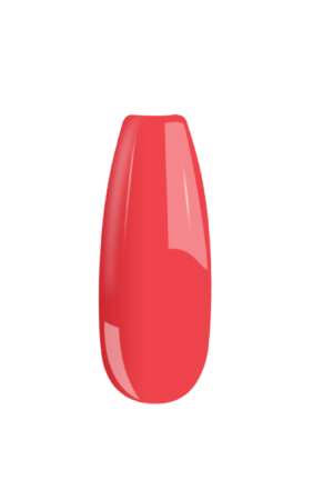 B064