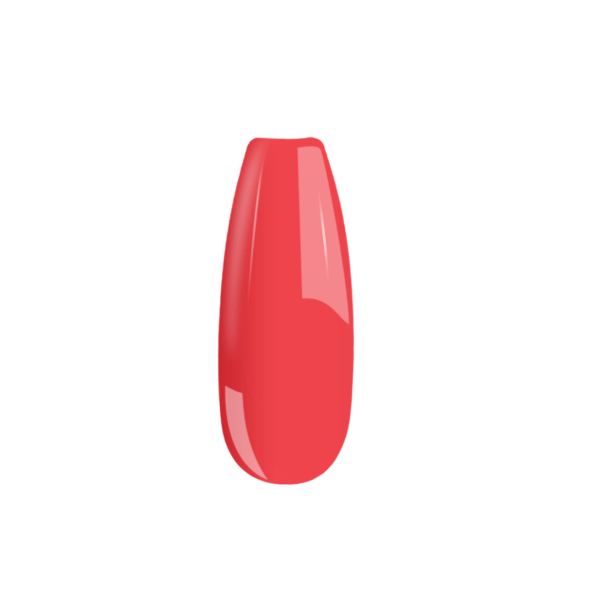 B064