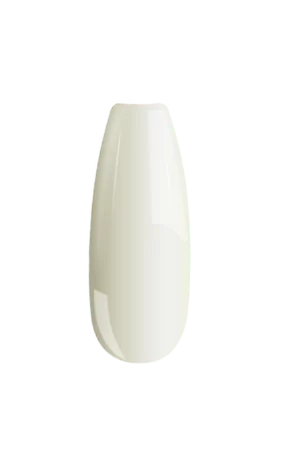B091