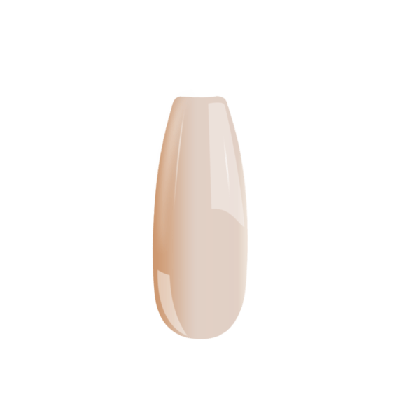 B095