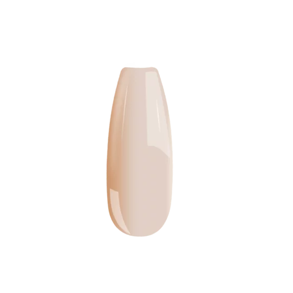 B095