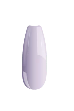 B097