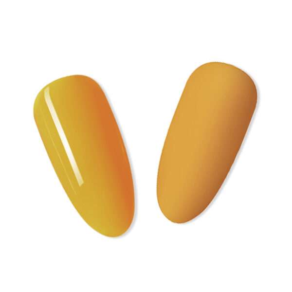 AC010