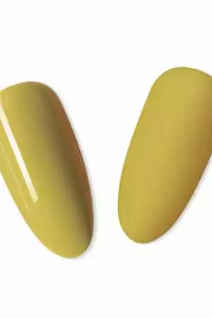 AC036