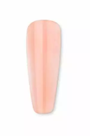 K02