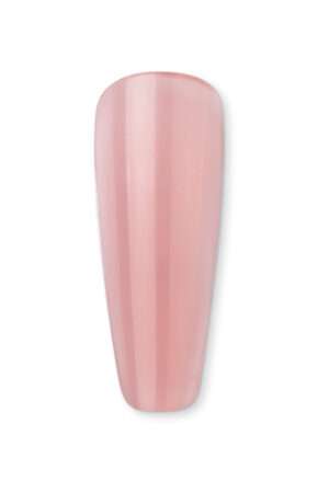 K03
