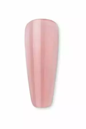 K03