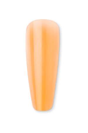 K25