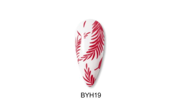 BYH19