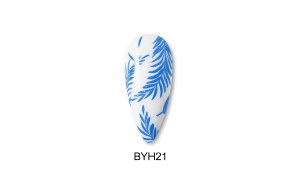 BYH21