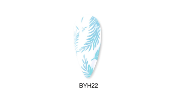 BYH22