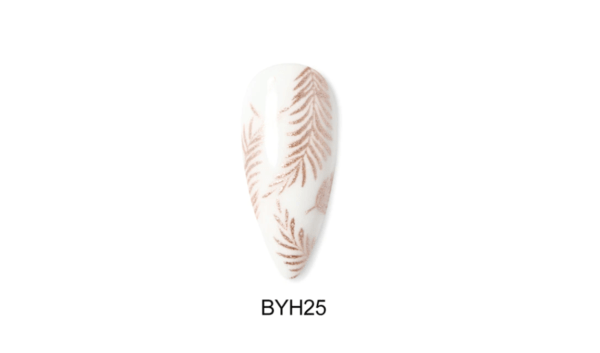 BYH25