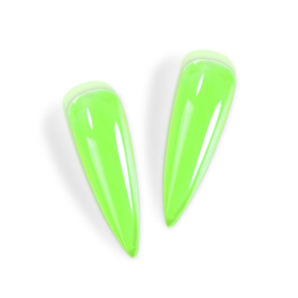 LL08